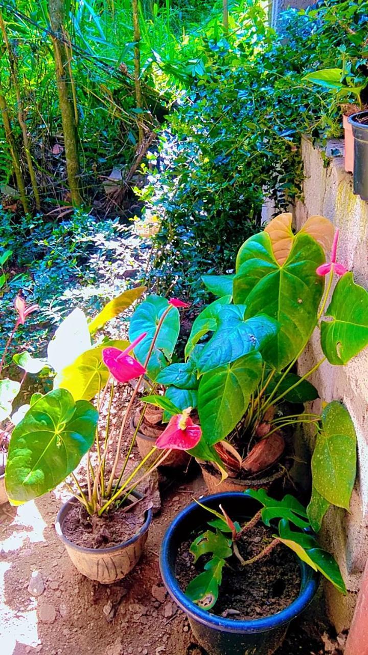 Ella Kumi Hostel Ngoại thất bức ảnh